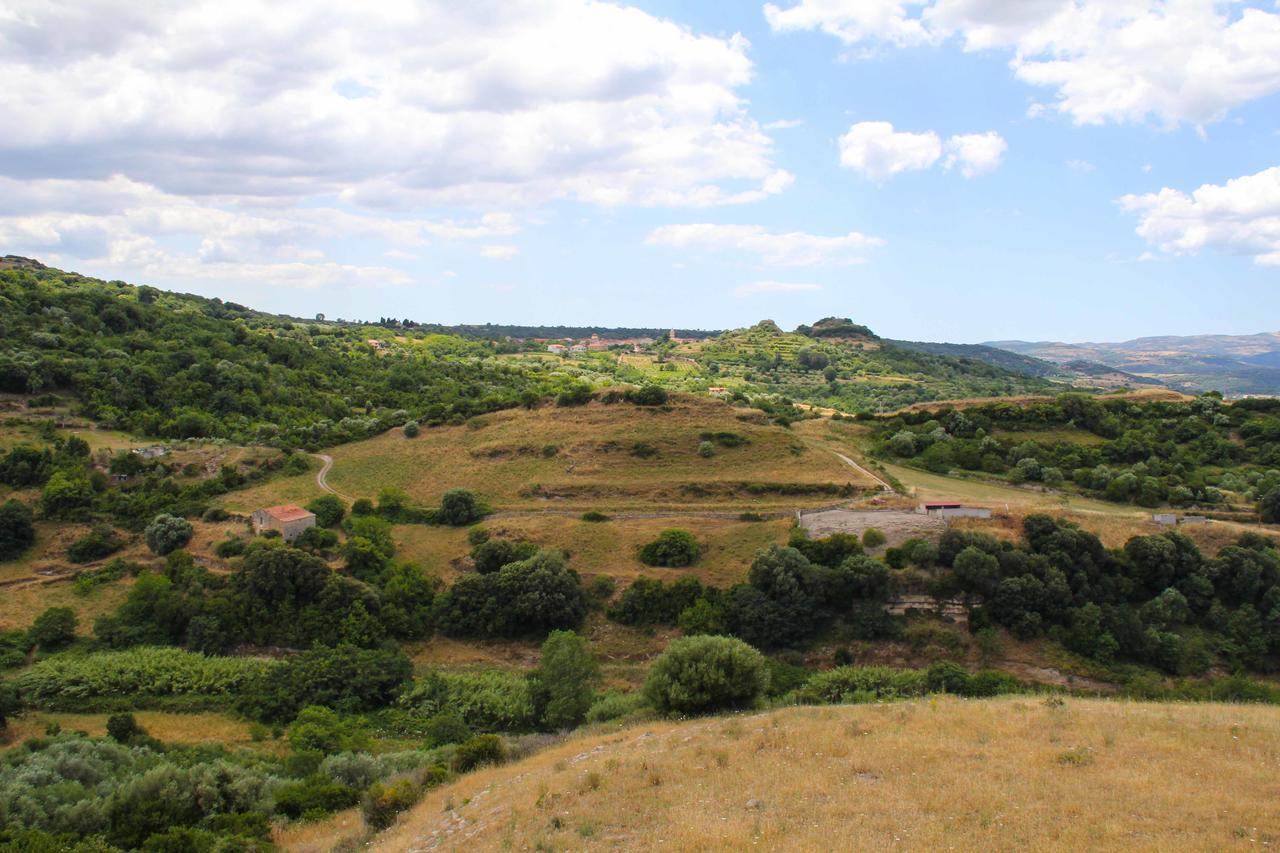 Antas Bed and Breakfast Padria Buitenkant foto