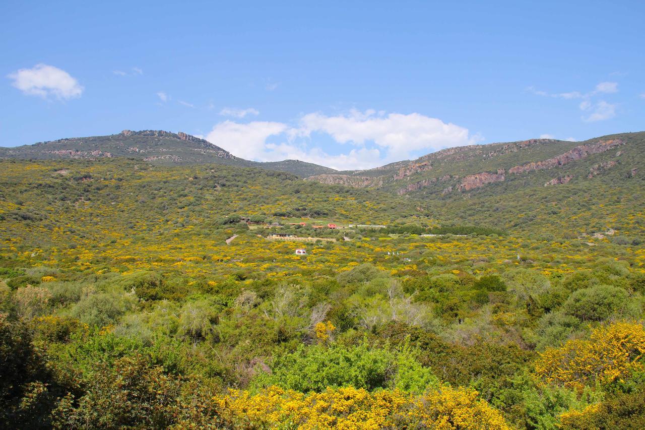 Antas Bed and Breakfast Padria Buitenkant foto